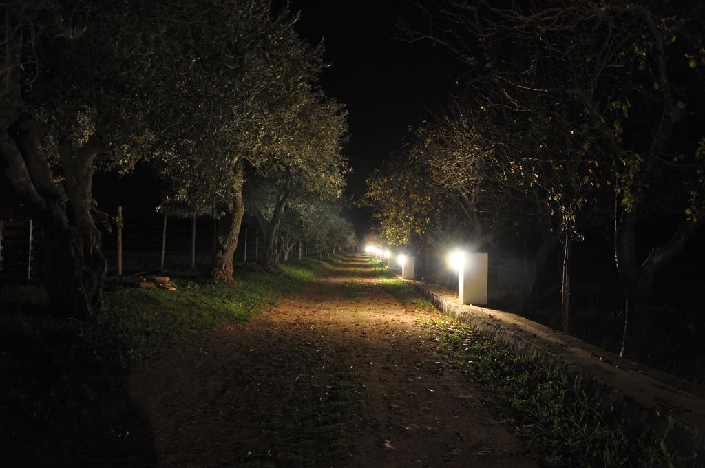 Quinta Da Sardinha Βίλα Elvas Εξωτερικό φωτογραφία